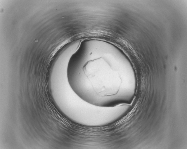 X0000086881210200705141402