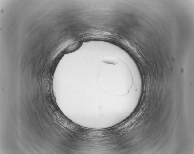 X0000086881211200705141402