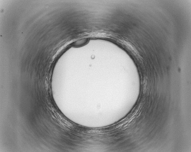 X0000086881212200705141402