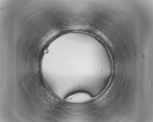 X0000086881213200705141402