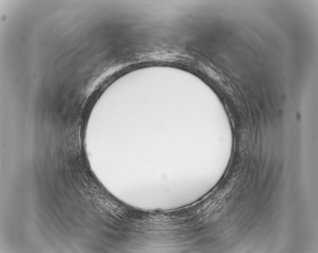 X0000086881214200705141402