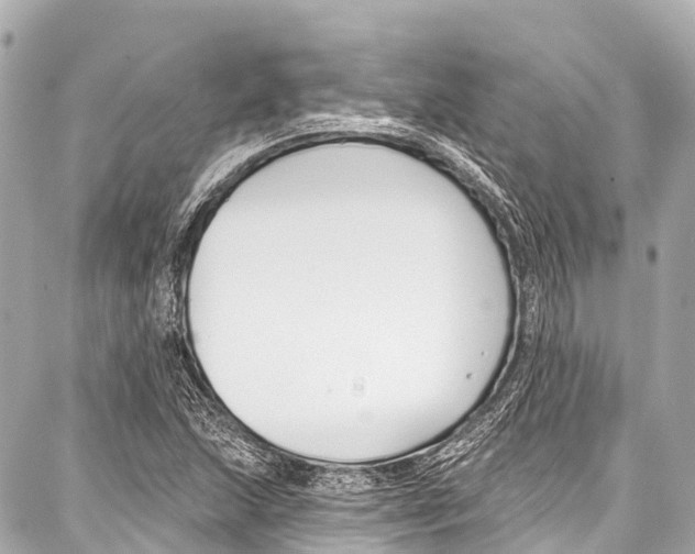 X0000086881215200705141402