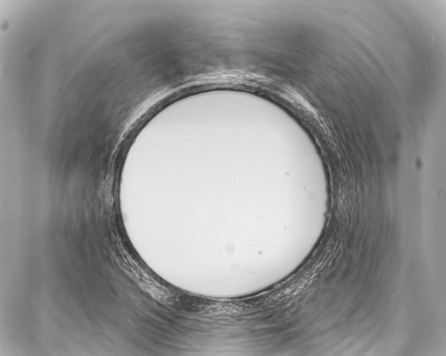 X0000086881216200705141402