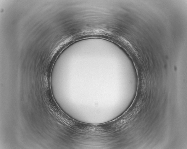 X0000086881218200705141402