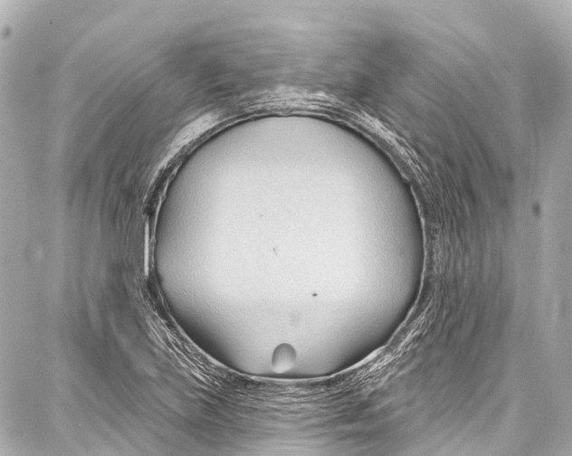 X0000086881219200705141402