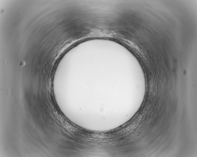 X0000086881220200705141402