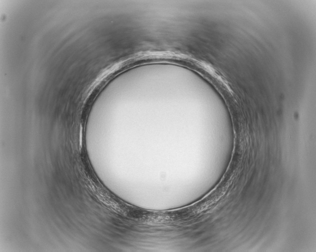 X0000086881221200705141402