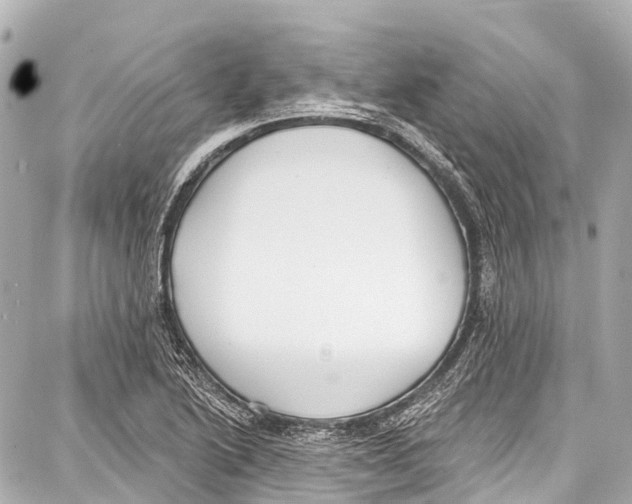 X0000086881222200705141402