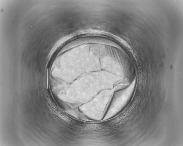 X0000086881223200705141402