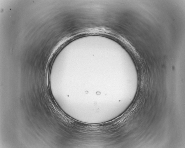 X0000086881224200705141402