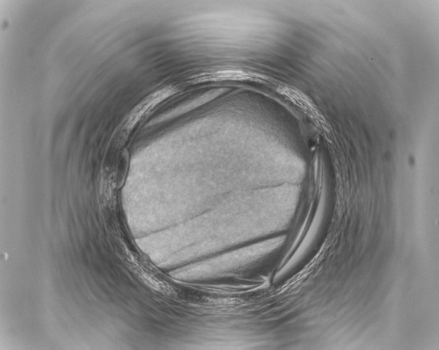 X0000086881225200705141402