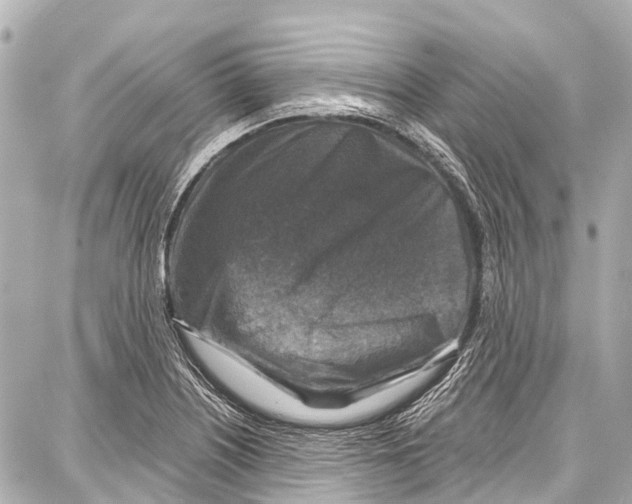 X0000086881226200705141402