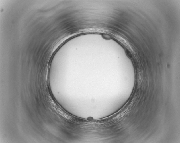 X0000086881228200705141402