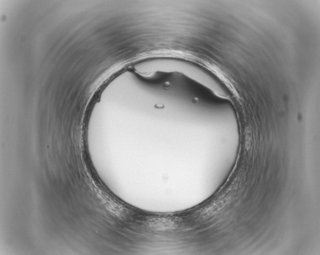 X0000086881229200705141402