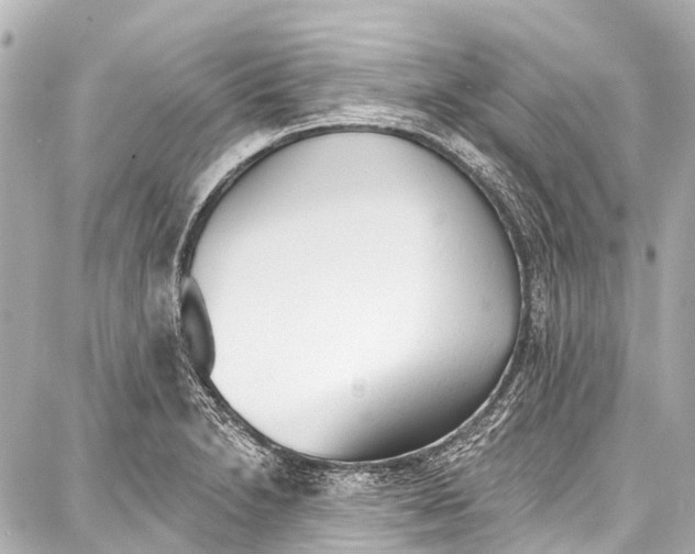 X0000086881230200705141402