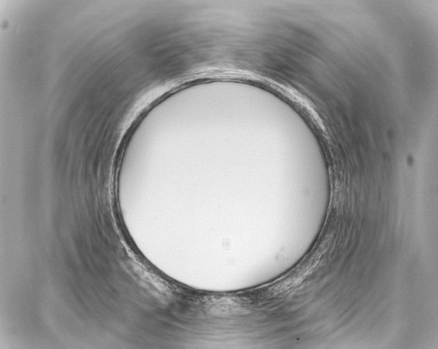 X0000086881231200705141402