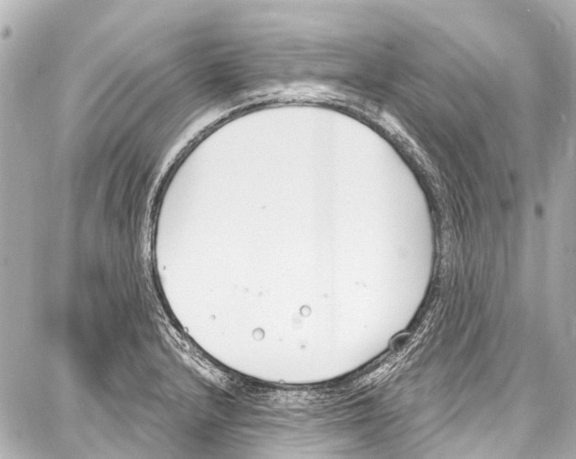 X0000086881232200705141402