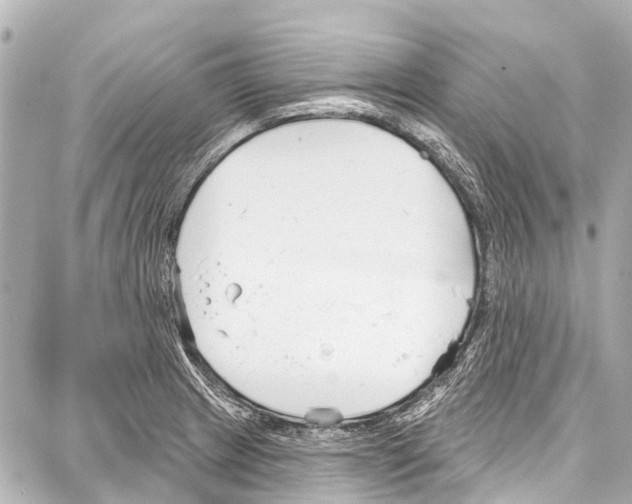 X0000086881233200705141402