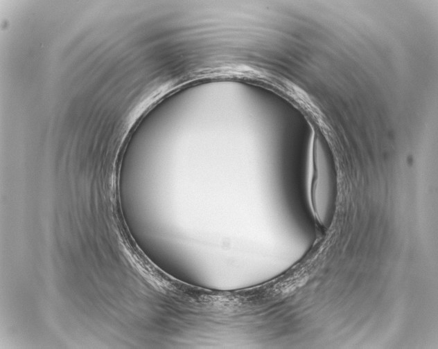 X0000086881234200705141402