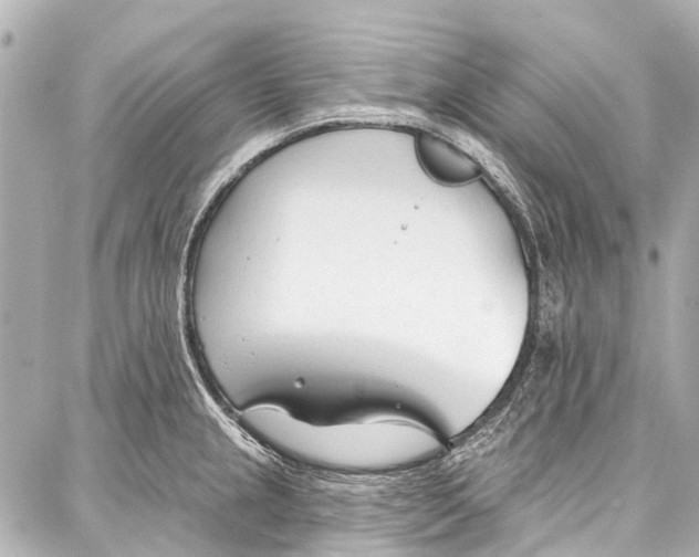 X0000086881237200705141402