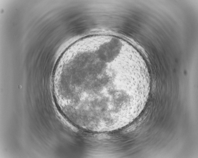 X0000086881239200705141402