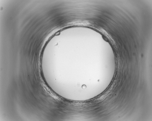 X0000086881240200705141402