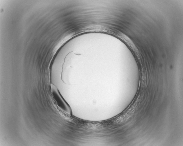 X0000086881242200705141402