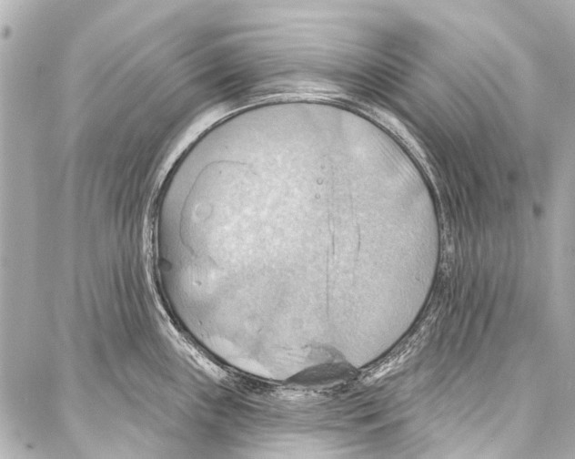 X0000086881243200705141402