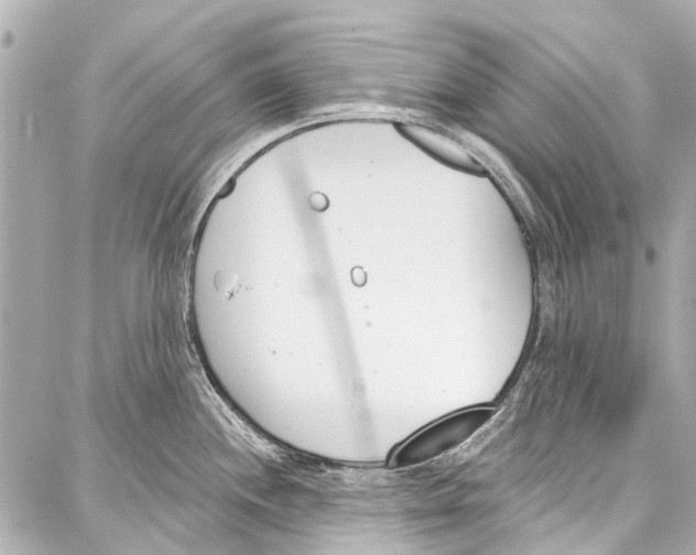 X0000086881244200705141402