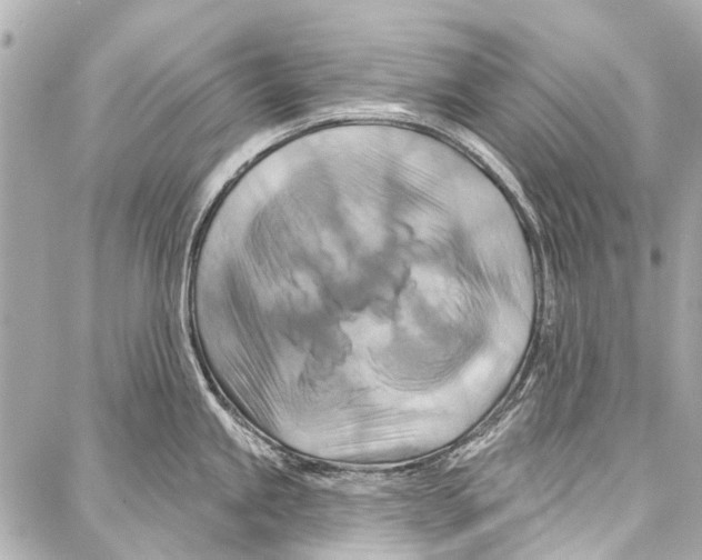 X0000086881245200705141402