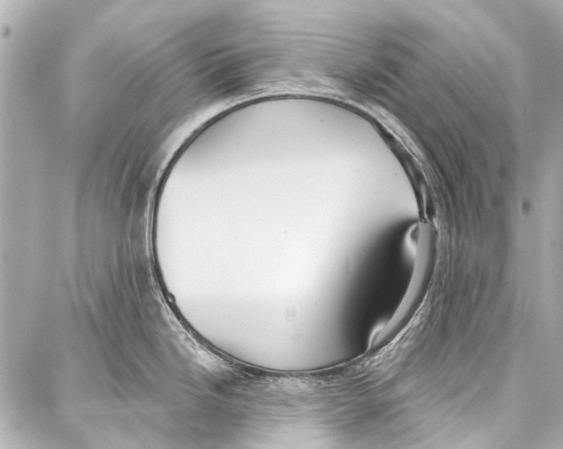 X0000086881246200705141402