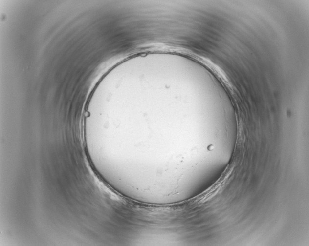 X0000086881247200705141402