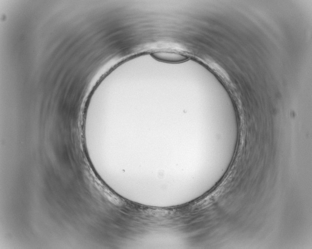 X0000086881248200705141402