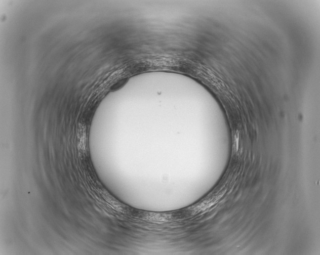 X0000086881251200705141401