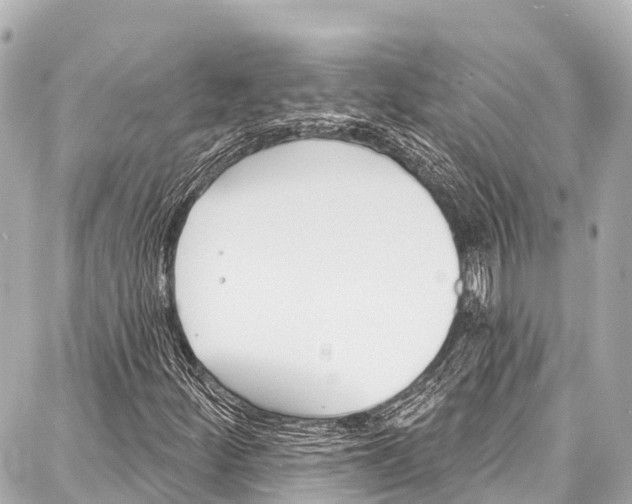 X0000086881252200705141401