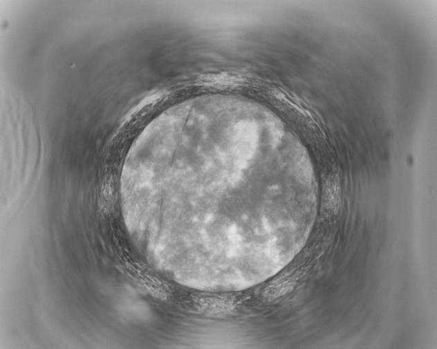 X0000086881254200705141401