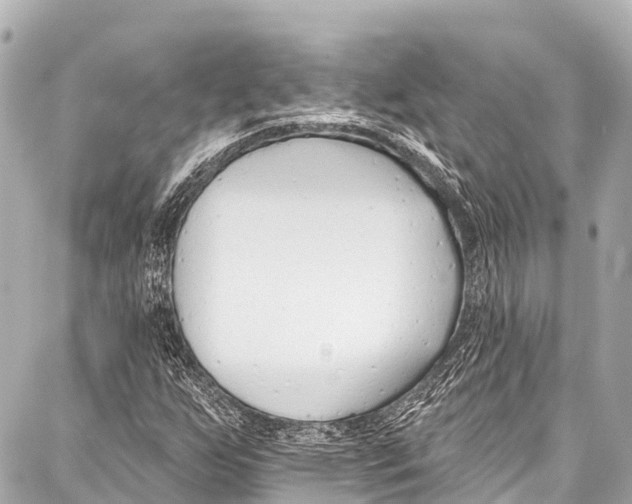 X0000086881255200705141401