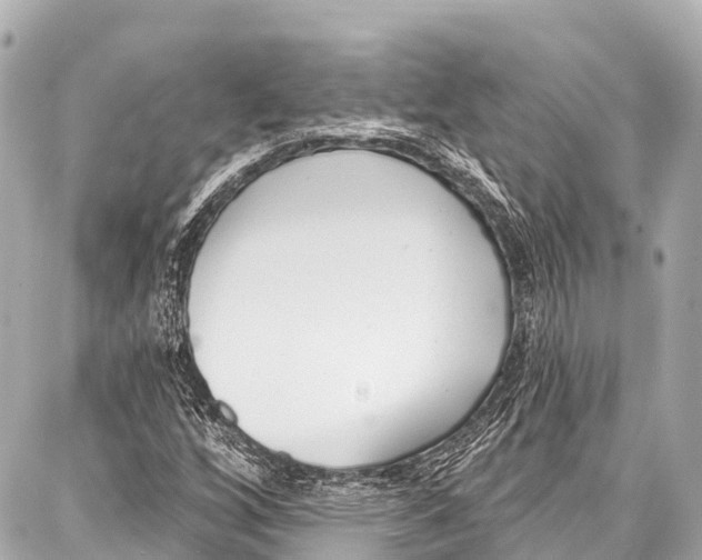 X0000086881256200705141401