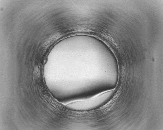 X0000086881257200705141401