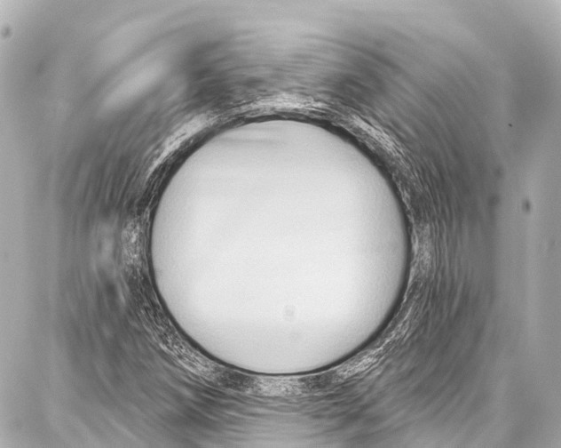 X0000086881258200705141401