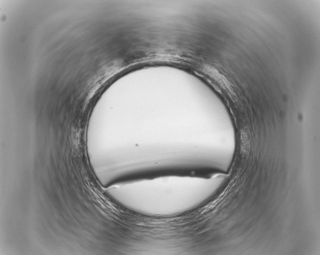 X0000086881260200705141401