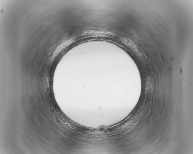 X0000086881261200705141401