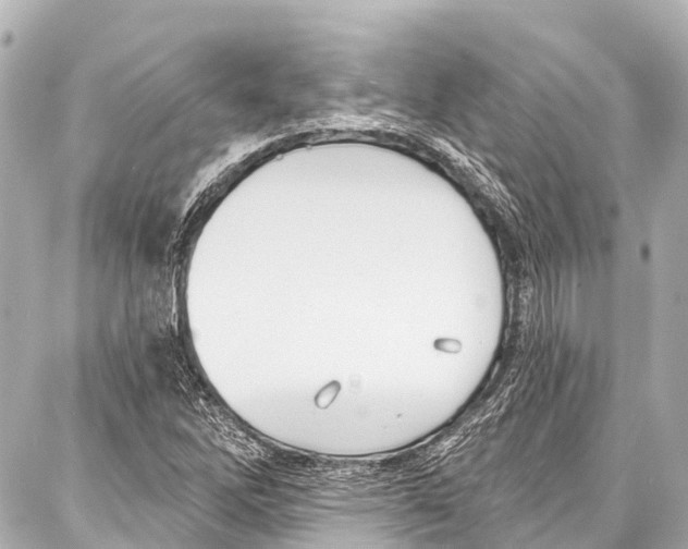 X0000086881262200705141401