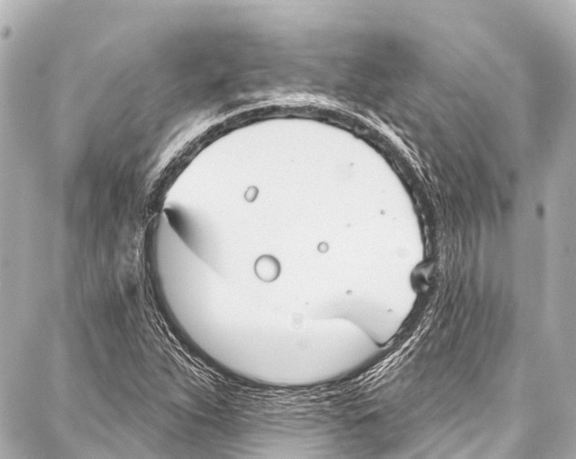 X0000086881263200705141401