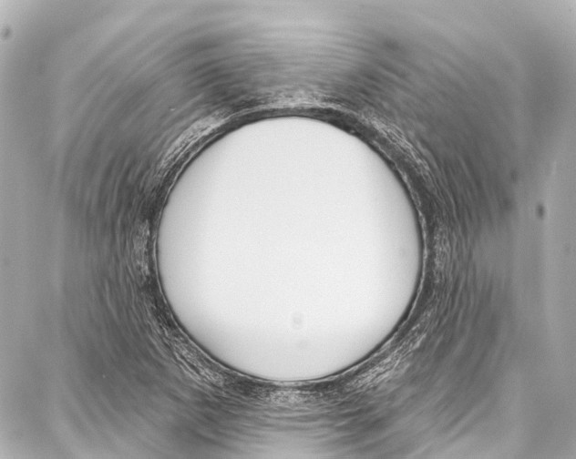 X0000086881265200705141401