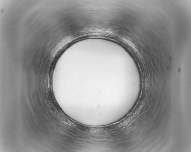 X0000086881267200705141401