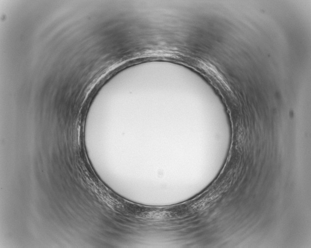 X0000086881268200705141401