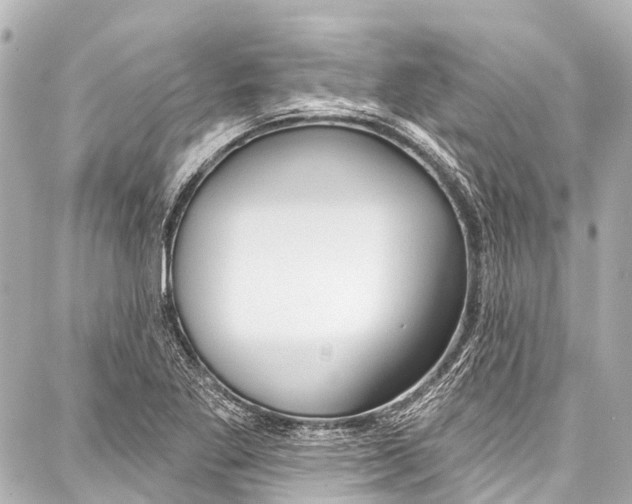 X0000086881269200705141401