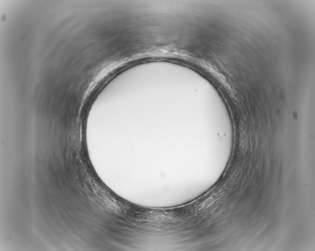 X0000086881270200705141401