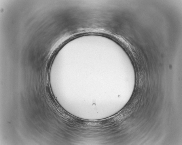 X0000086881271200705141401